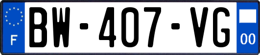 BW-407-VG