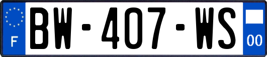 BW-407-WS