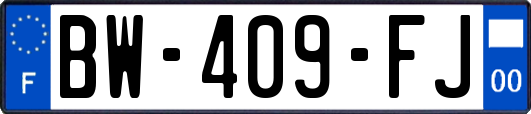 BW-409-FJ