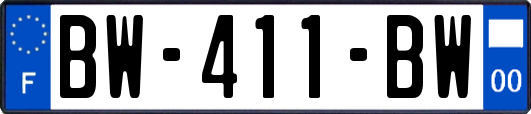 BW-411-BW