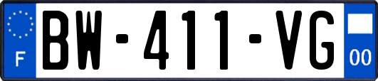 BW-411-VG