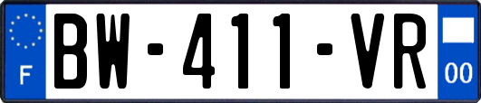 BW-411-VR