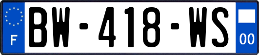 BW-418-WS