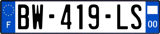 BW-419-LS