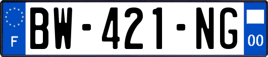 BW-421-NG