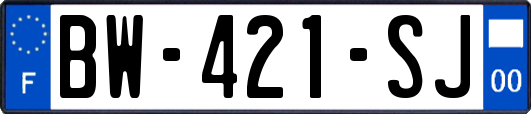 BW-421-SJ