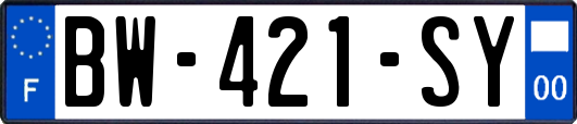 BW-421-SY