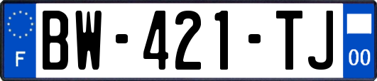 BW-421-TJ
