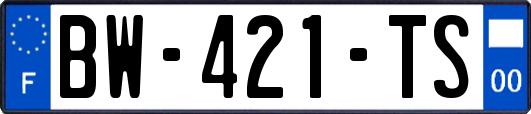BW-421-TS