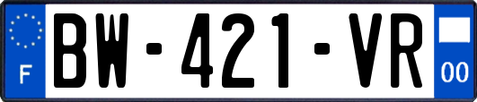 BW-421-VR