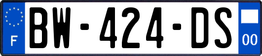 BW-424-DS