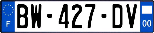 BW-427-DV