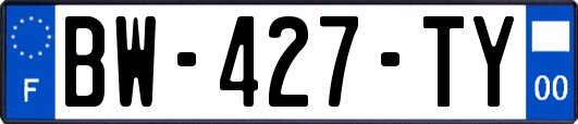 BW-427-TY