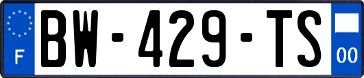 BW-429-TS