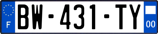 BW-431-TY