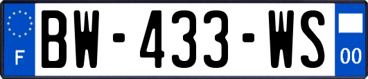 BW-433-WS