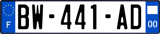 BW-441-AD