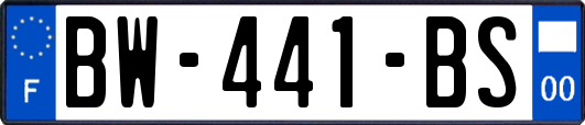 BW-441-BS