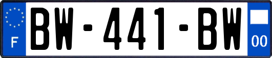 BW-441-BW