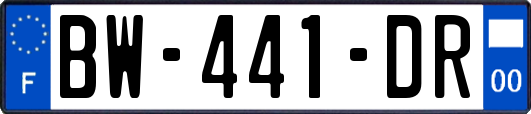 BW-441-DR