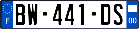 BW-441-DS