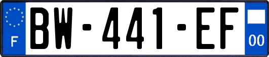 BW-441-EF