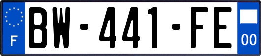 BW-441-FE