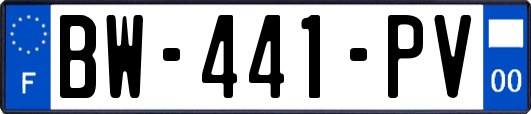 BW-441-PV