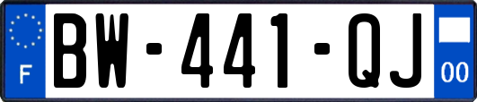 BW-441-QJ
