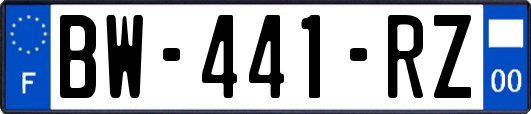 BW-441-RZ