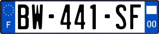 BW-441-SF