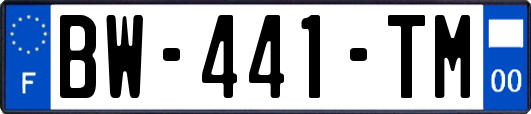 BW-441-TM