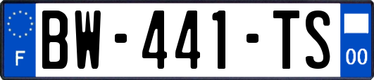 BW-441-TS