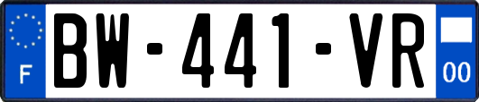 BW-441-VR