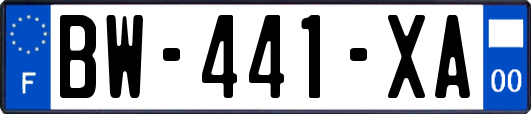 BW-441-XA