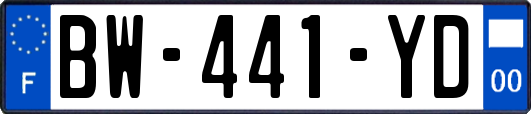 BW-441-YD