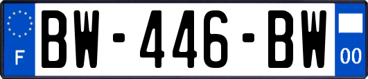 BW-446-BW