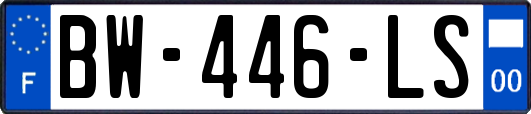 BW-446-LS