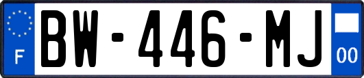 BW-446-MJ