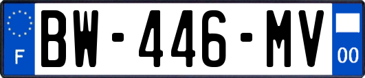 BW-446-MV
