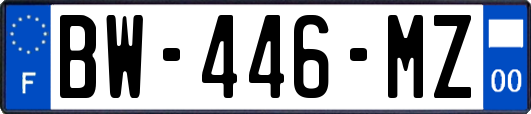BW-446-MZ