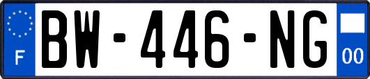 BW-446-NG
