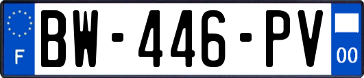 BW-446-PV
