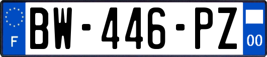 BW-446-PZ