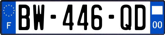 BW-446-QD