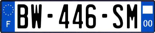 BW-446-SM