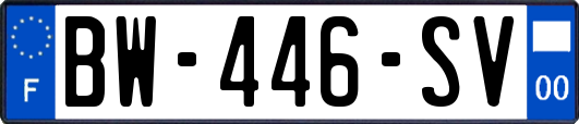 BW-446-SV