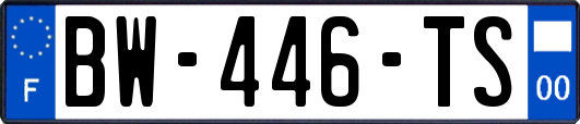 BW-446-TS