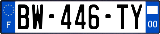 BW-446-TY