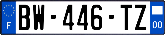 BW-446-TZ